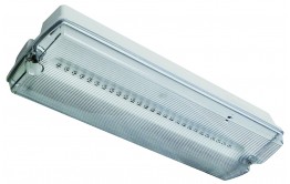 REELTECH Emergency LED Bulkhead