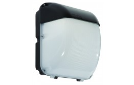 REELTECH LED IP65 Square Bulkhead